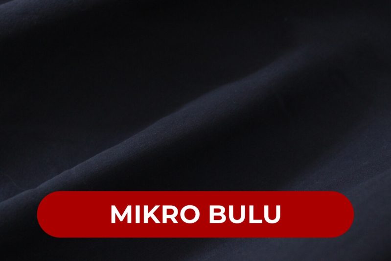 290923_Mikro Bulu